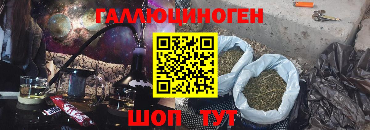 Кстово  Галлюциногенные грибы Psilocybine cubensis  Вход с VPN 