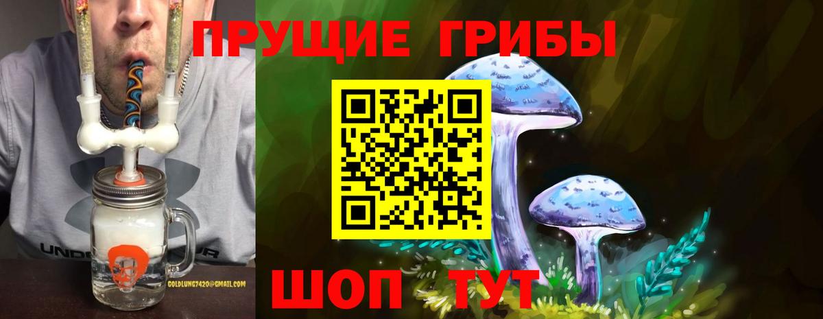 Галлюциногенные грибы прущие грибы Кстово
